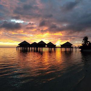Coconuts Beach Club Resort&Spa